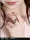 �������������쥤�� �����ͥ��᡼�����꡼�� ��󥰥��å� 2027ǯ3�ͽ��