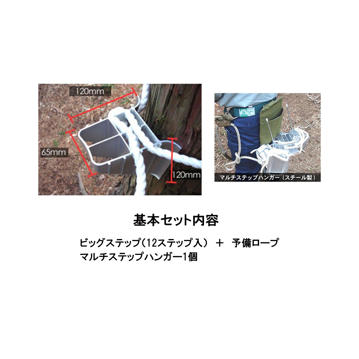 ビッグステップ（片足ステップ）