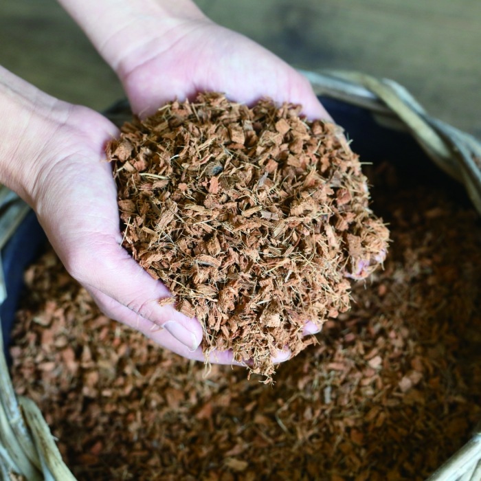 【6個入り】ベラボンプレミアム 50L