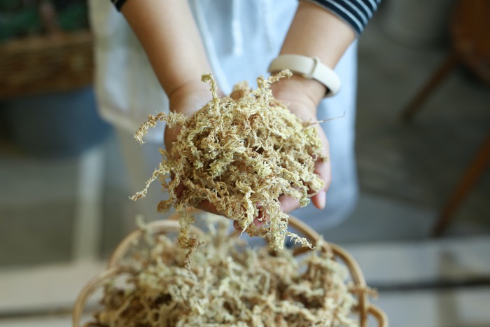 【単品販売】乾燥水苔12L（ブレンド）