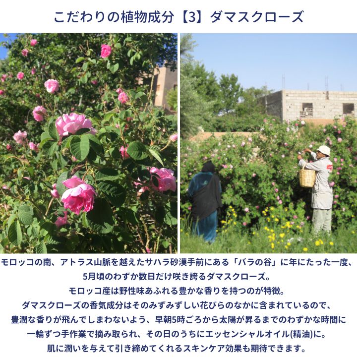 フルールドファティマ エッセンスオイル 30mL | コスメティック