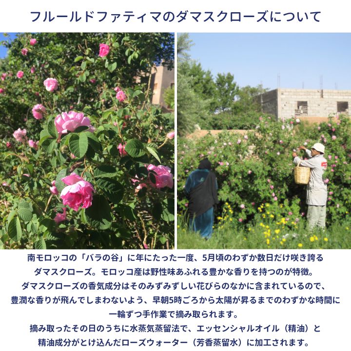 フルールドファティマ　ダマスクローズウォーター (化粧水)　100mL