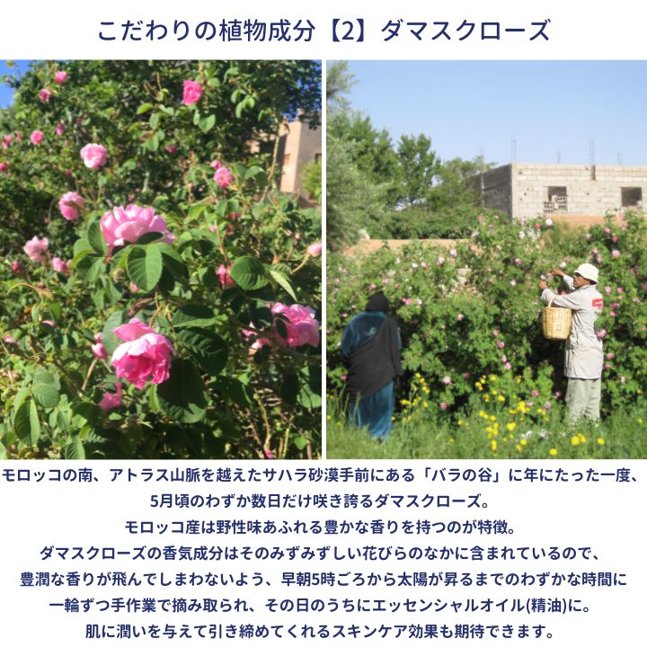 フルールドファティマ トリートメントオイル (ダマスクローズ) 50mL