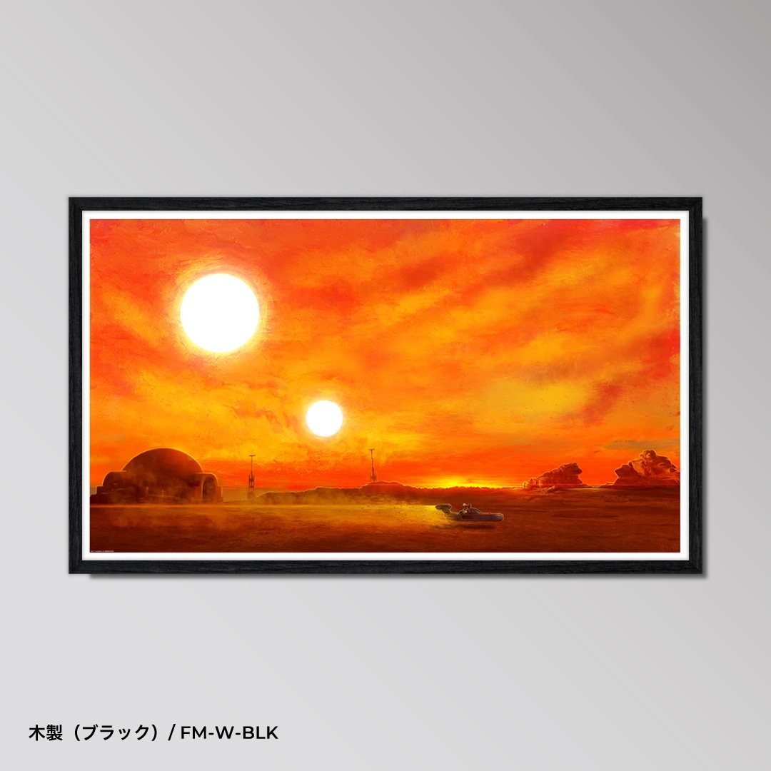 Amazon.co.jp: 朝な夕なに [VHS] : ルート・ロイベリック: DVD