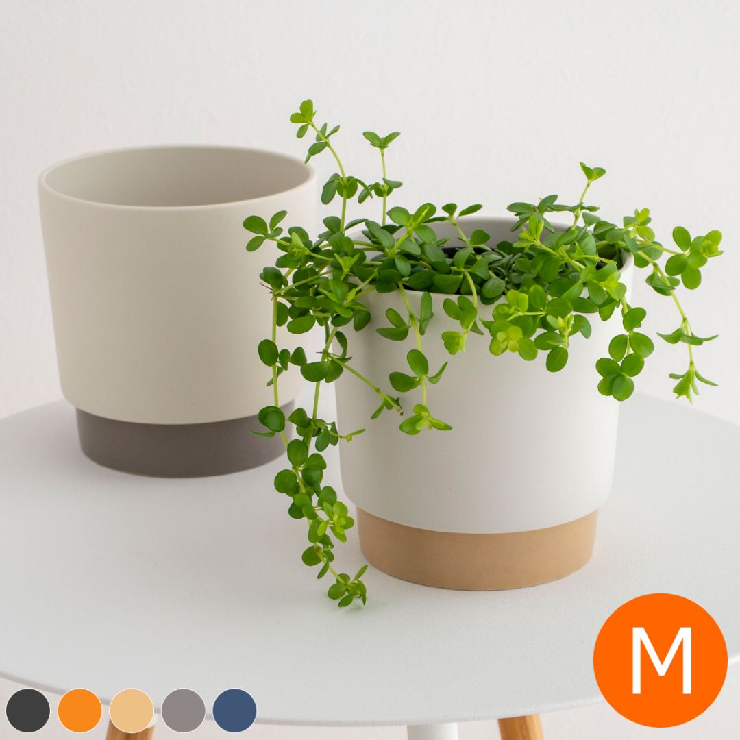 プランターポット 植木鉢 直径11.5cm プランター 中型 陶磁器 ground