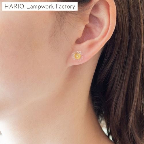 ハリオ イイダ傘店 ピアス 朝焼けのカモミール クリア ガラス製 HARIO