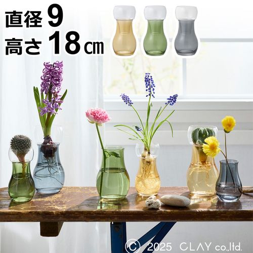 水耕栽培ガラスベース Bulbee L 花瓶 フラワーベース ガラス