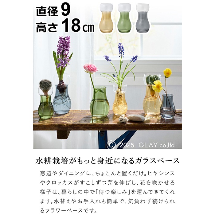 水耕栽培ガラスベース Bulbee L 花瓶 フラワーベース ガラス