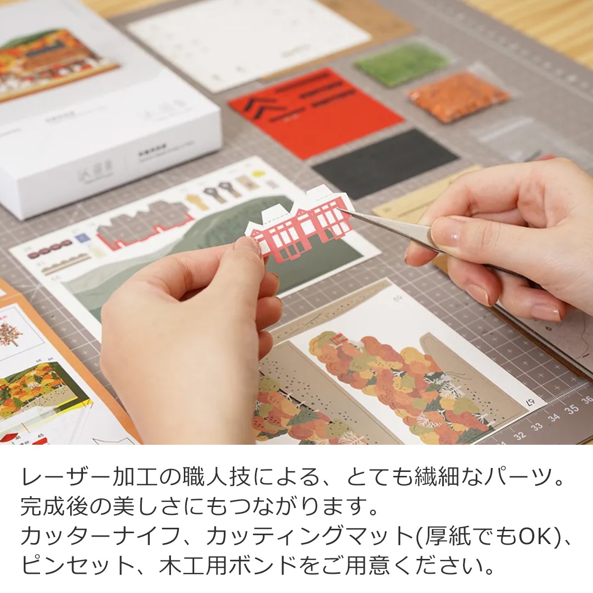 ペーパークラフトキット アクリルケース付き 日本の四季 秋の楓と奈良