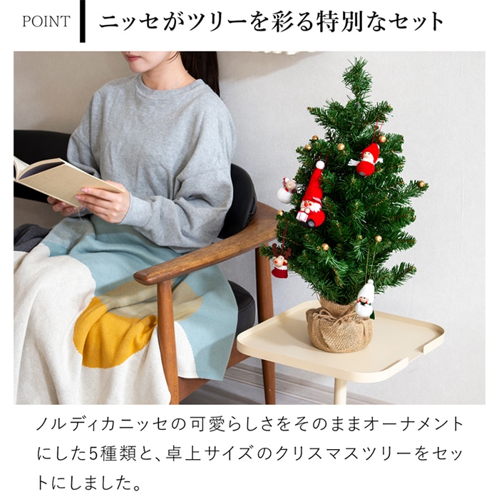 ご予約受付中】※9月末～10月上旬頃入荷予定※配送日指定不可