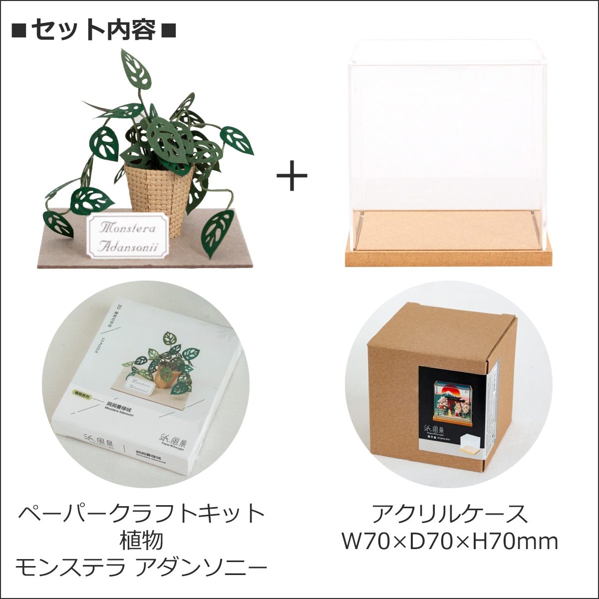 ペーパークラフトキット アクリルケース付き モンステラ アダンソニー