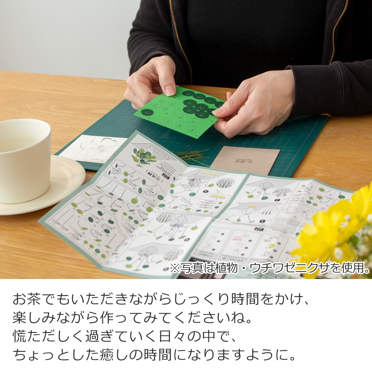 ペーパークラフトキット 日本の四季 秋の楓と奈良の鹿 ミニチュア