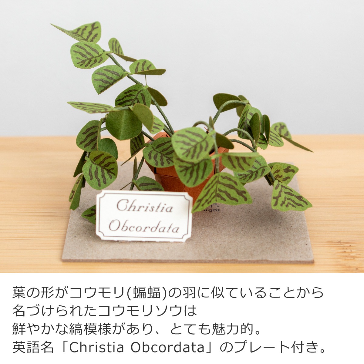ペーパークラフトキット コウモリソウ ミニチュアキット 紙製 大人