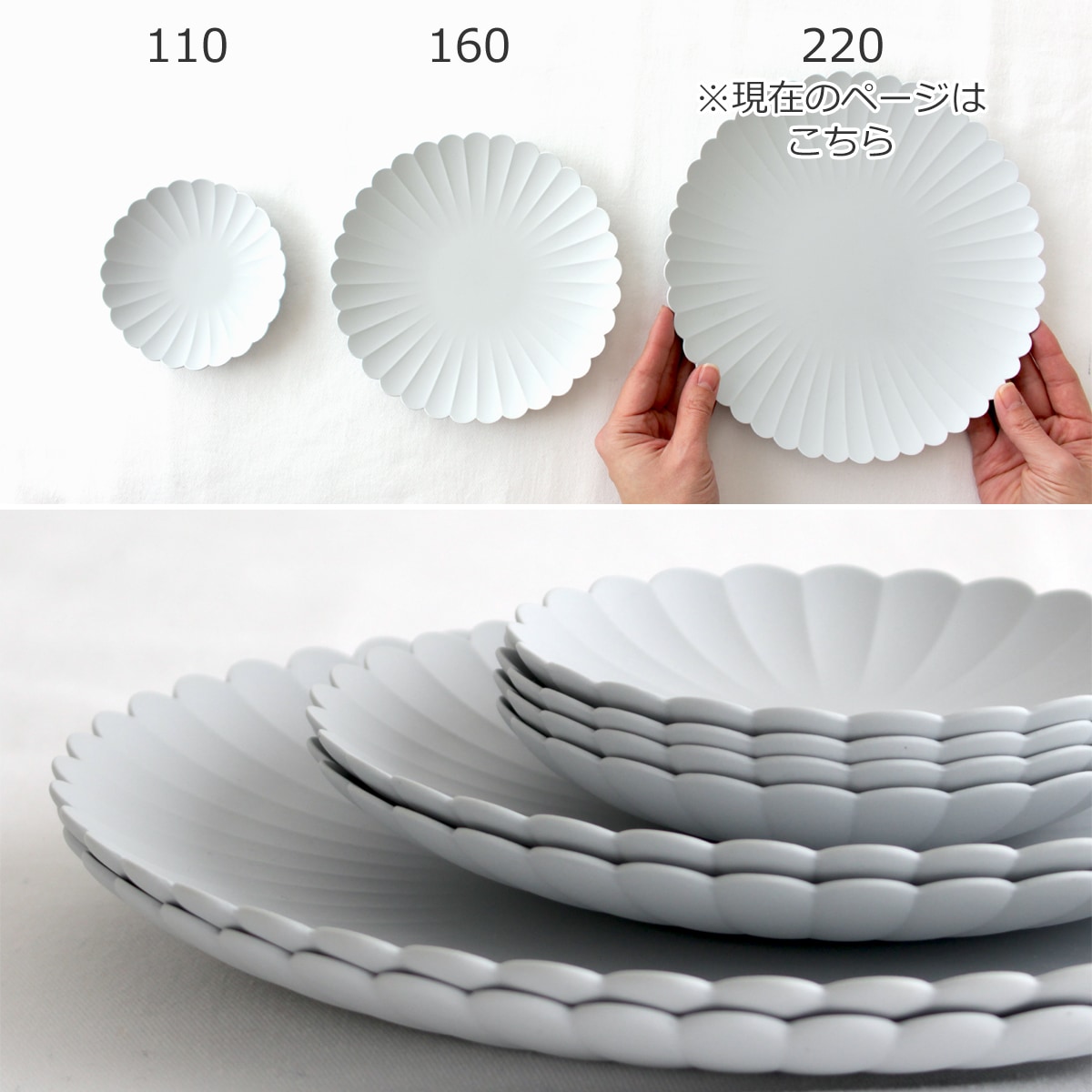 1616 arita japan TY Palace 220 パレス 有田焼 パレスプレート 220mm