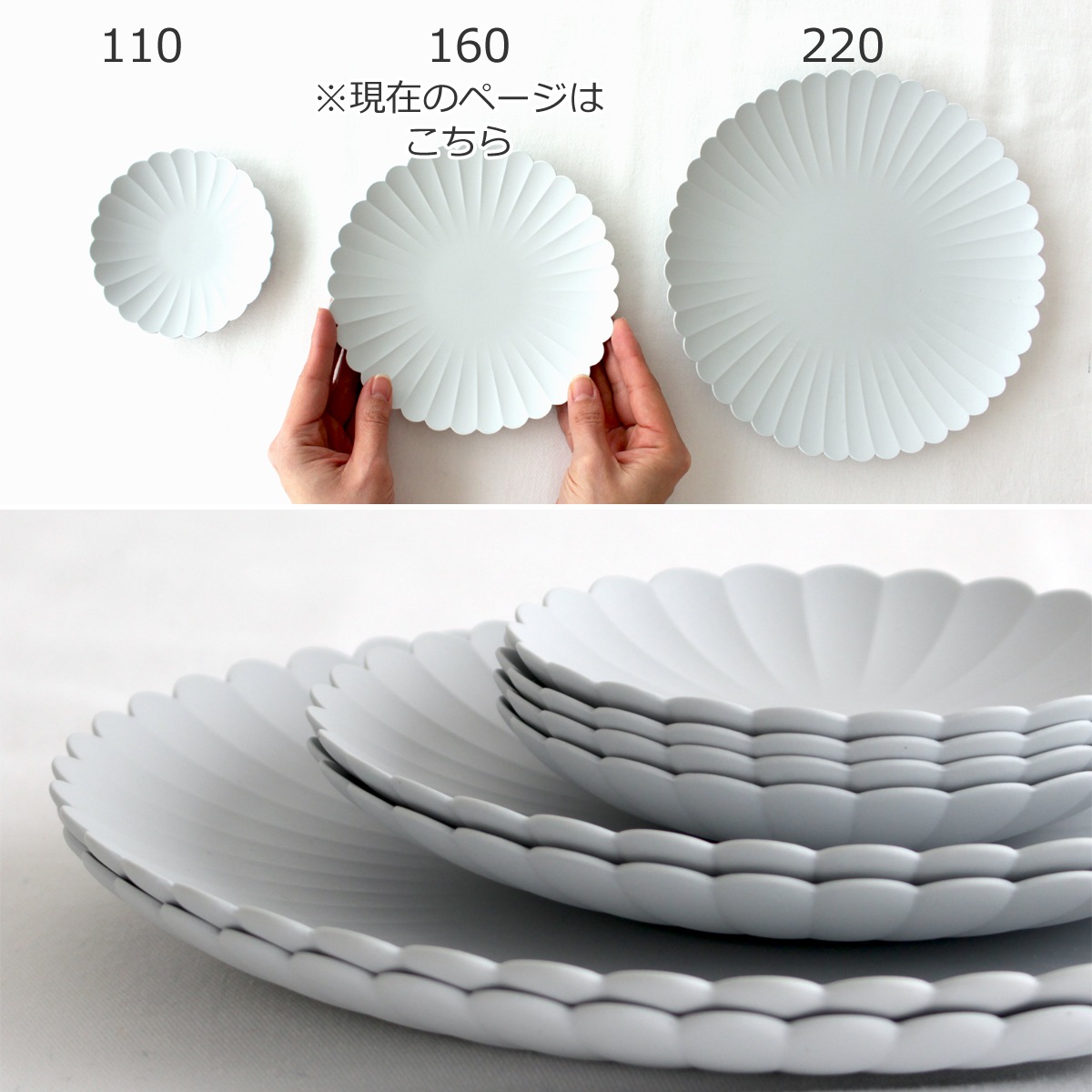 1616 arita japan TY Palace 160 4枚セット 化粧箱入り パレス 有田焼