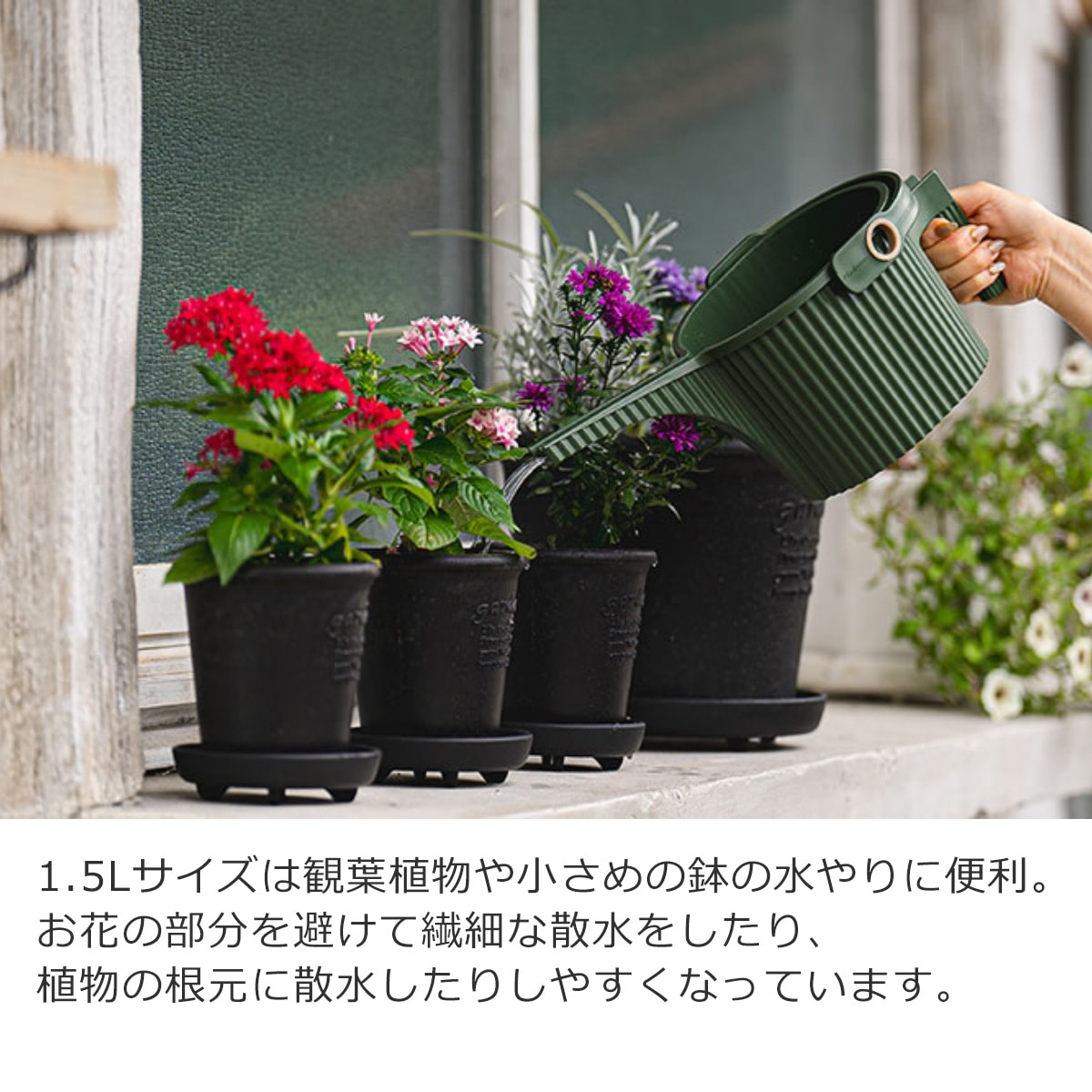 じょうろ屋内屋外 盆栽用屋内じょうろ取り外し可能なノズルじょうろ屋外植木鉢ガーデンフラワーじょうろ ガーデニング用品(A-Red) じょうろ 盆栽」の人気商品一覧・価格比較 - 価格.com