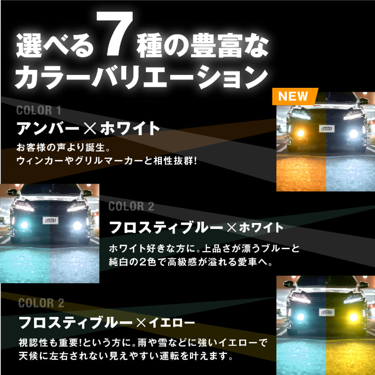 ランドクルーザー 200 2色切替LED レンズユニット タイプB