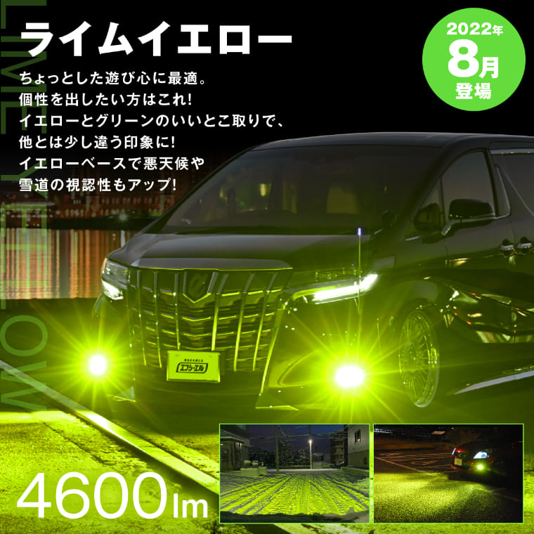 ランドクルーザー 200 2色切替LED レンズユニット タイプB