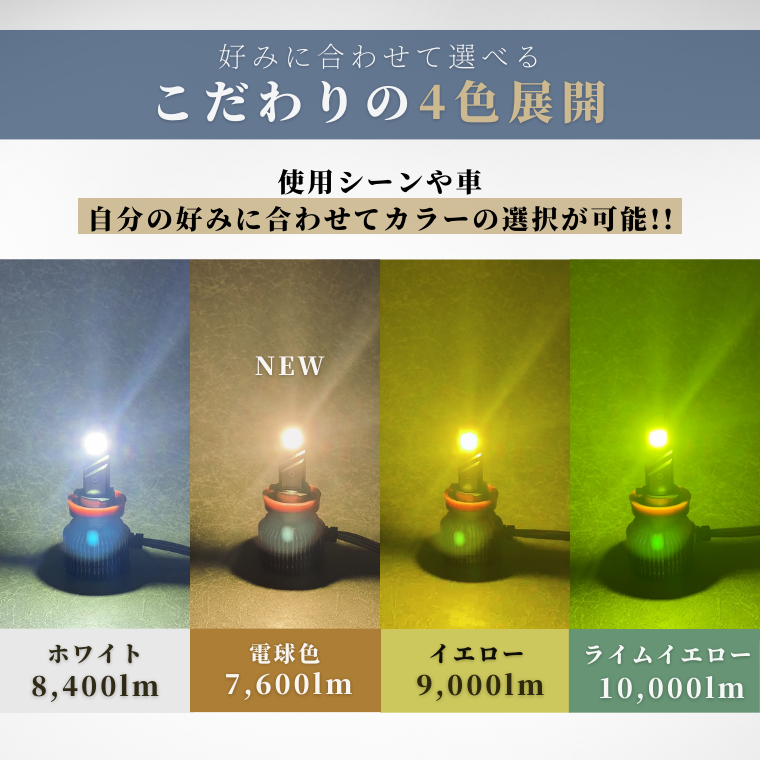 独特な 33_000000001393.png?1684919995 ぬいぐるみ