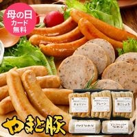 ��ޤ��� ̵������ ������ʡ� ���������� �ͤ��碌 NSG-A  | [����]������̵�� ����� ����� ���