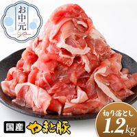 �� ��ޤ��� �ڤ���Ȥ��� �ᥬ���� 1.2Kg NS-DY |������� ����̵�� ���渵 ���渵 �ƥ��ե� �Ľ븫��