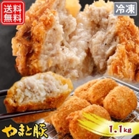  å ͤ碌 1.1Kg NS-BB | []̵