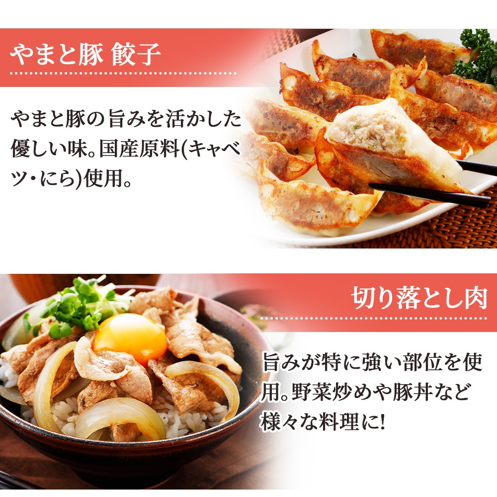 ��ޤ��� ��Ȥ��狼�� ���ں� ʡ�� | [����]  ����̵��