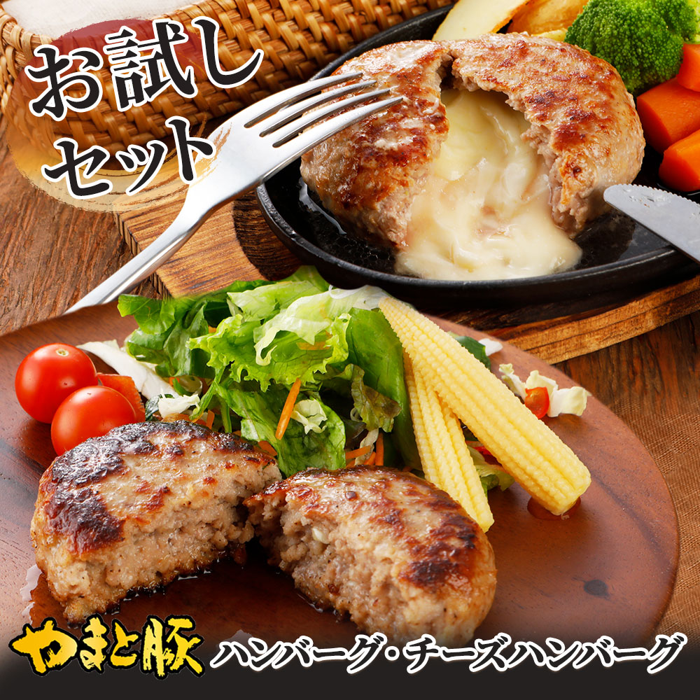 ���ϥ�С�����������å� (4����) NS-CU | [����]������̵��