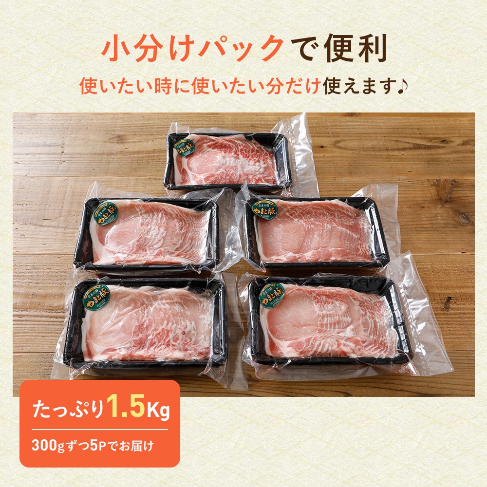  ޤ  ֤ 1.5kg NS-BX | [] ̵
