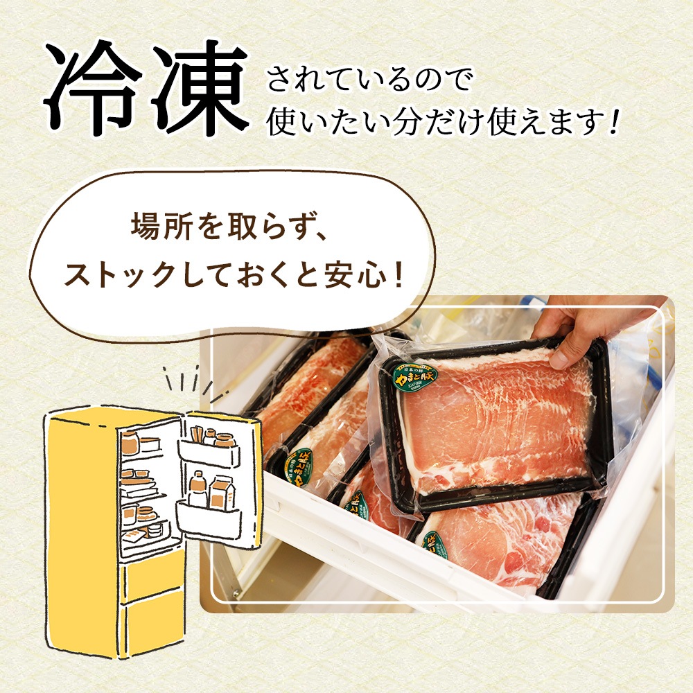  ޤ  ֤ 1.5kg NS-BX | [] ̵