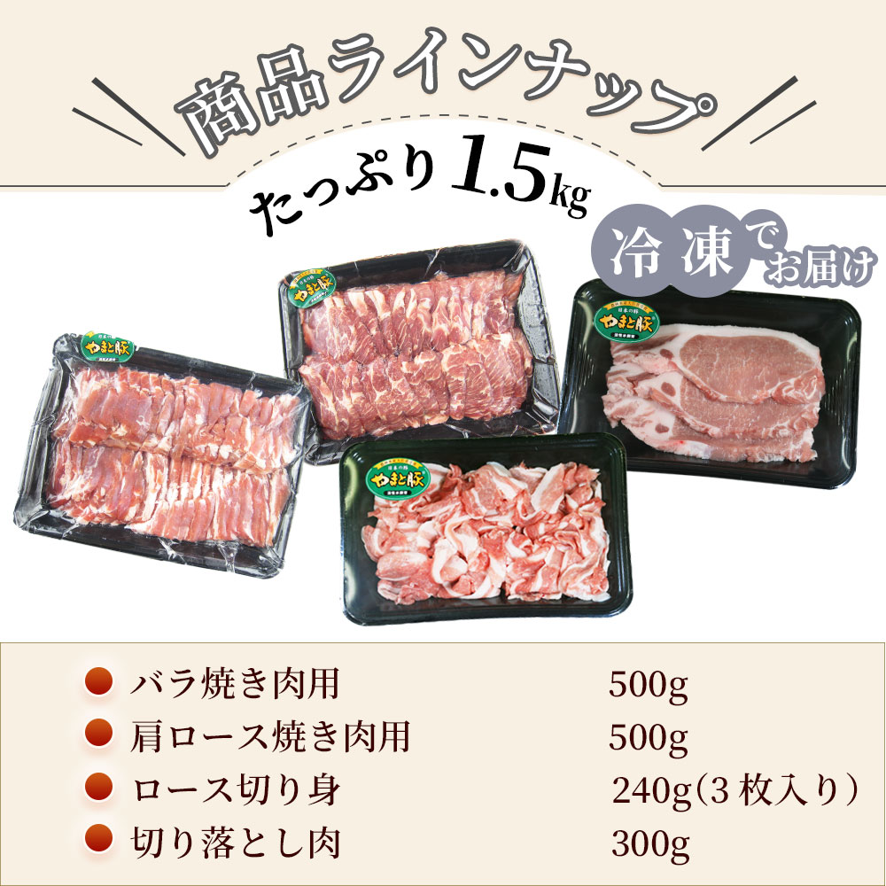  ޤ å 1.5kg NS-AS | [] ̵