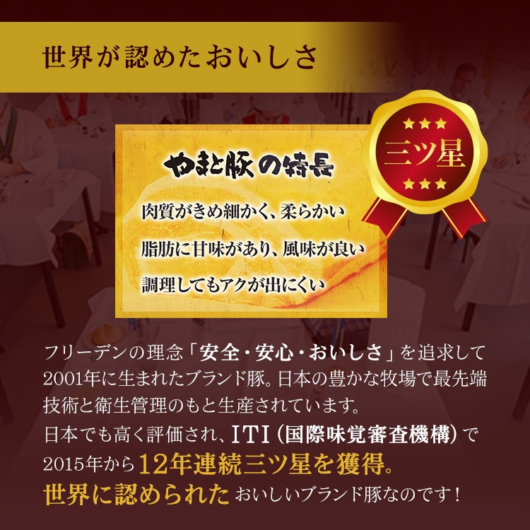 ��ޤ��� ̵������ ������ʡ� ���������� �ͤ��碌 NSG-AI | [����] ����̵��