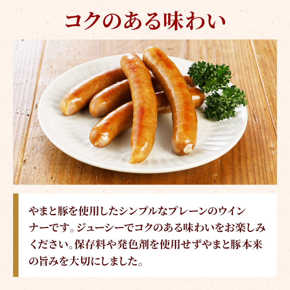 ��ޤ��� ̵���󤻤� ������ʡ� 100g�á���¢��