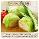 �����륭��٥� 6������á������
