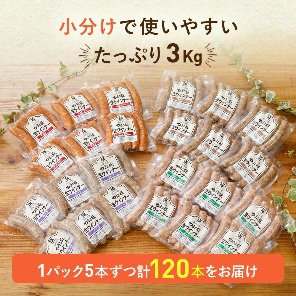 ��ޤ��� ��������ʡ� ���å�(��4��) 3kg NS-AW |[����] ����̵�� ���渵 ���渵 �ƥ��ե� �Ľ븫��
