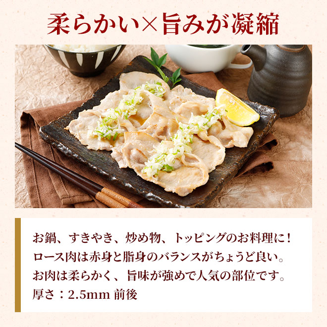 �� ��ޤ��� ������ ���饤�� 1.5kg NS-CZ | [����] ����̵�� ������ ����� �ߥ��ե� �ץ쥼��� ��Ϸ����