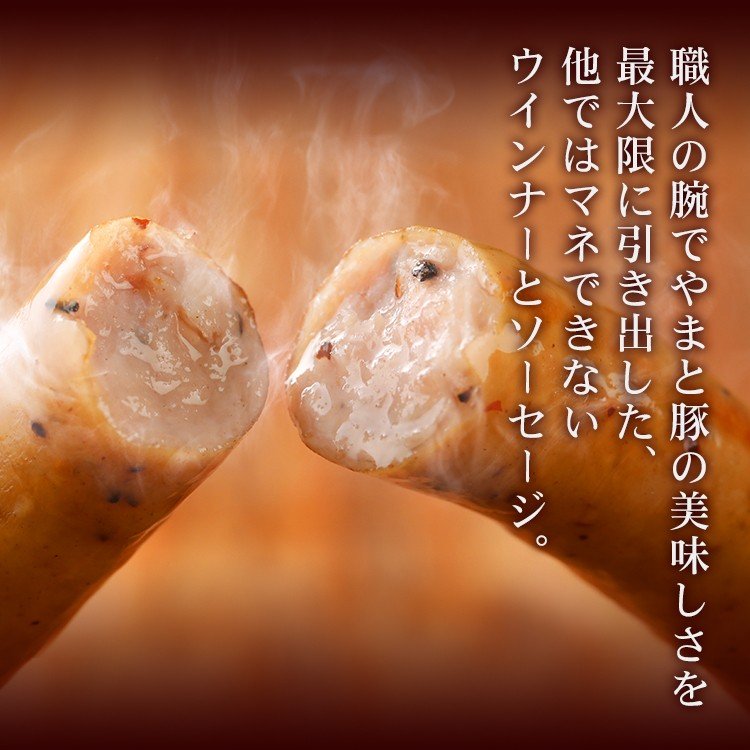 ̵������ ������ʡ� ���������� ���6�����å� NS-DH | [����] ����̵��