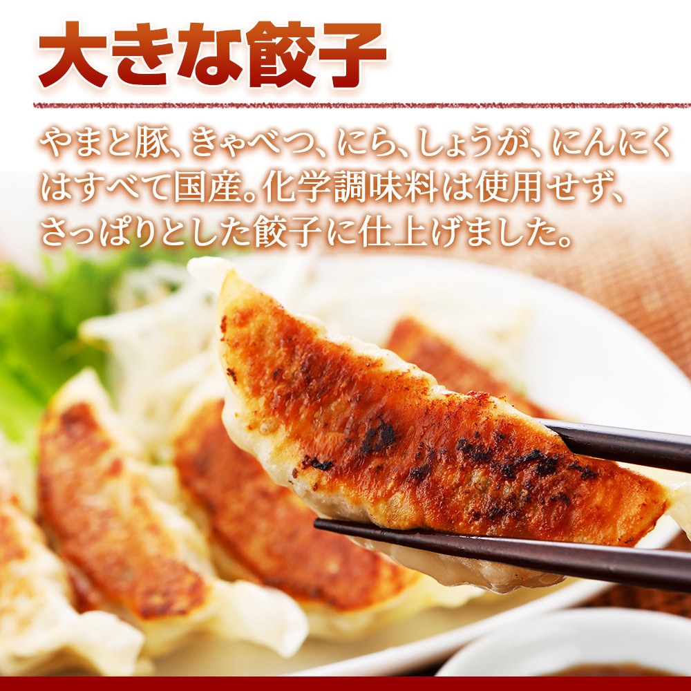 ��ޤ��� ���ʡ�� 1.6kg NS-CJ | [����] ����̵�� ����� ����� ���