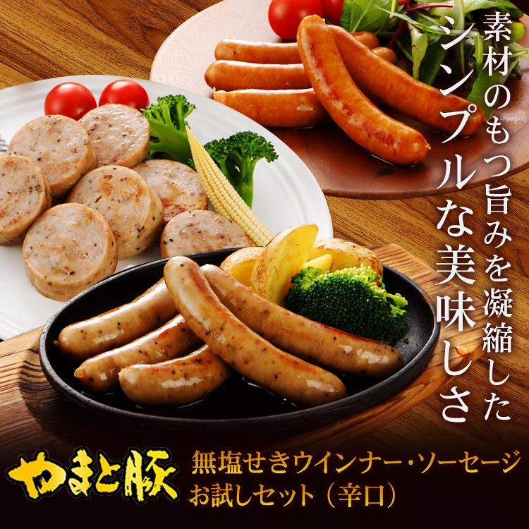 ̵������ ������ʡ� ���������� ���3�����å� (�ɸ�) NS-DQ| [����] ����̵��