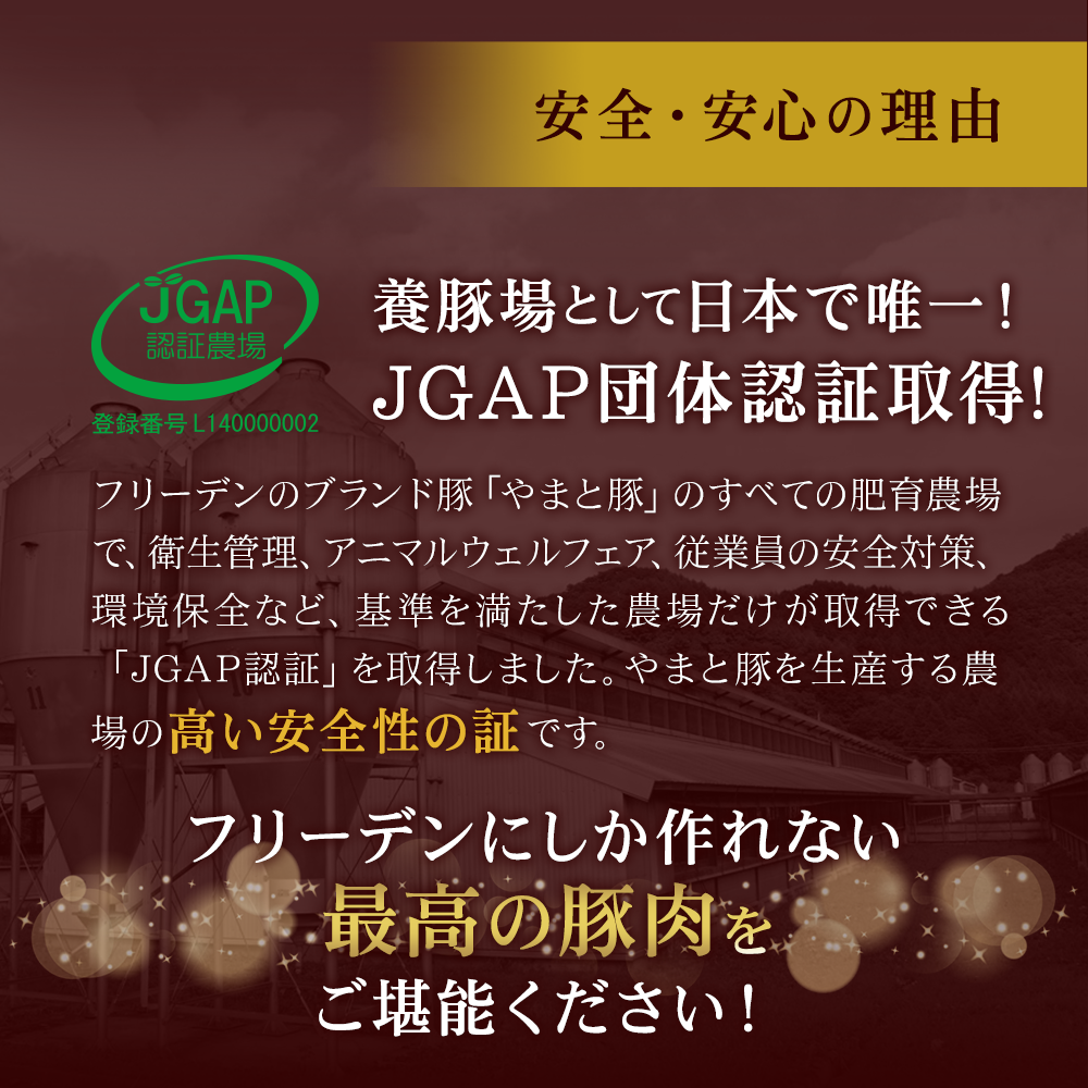 ��ޤ��� ̵������ ������ʡ� ���������� �ͤ��碌 NSG-A  | [����]������̵�� ����� ���渵