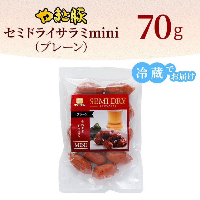 ��ޤ��� ���ߥɥ饤����� mini �ץ졼�� 70g�á���¢��