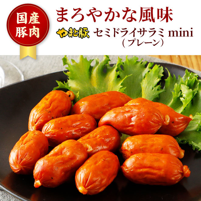 ��ޤ��� ���ߥɥ饤����� mini �ץ졼�� 70g�á���¢��