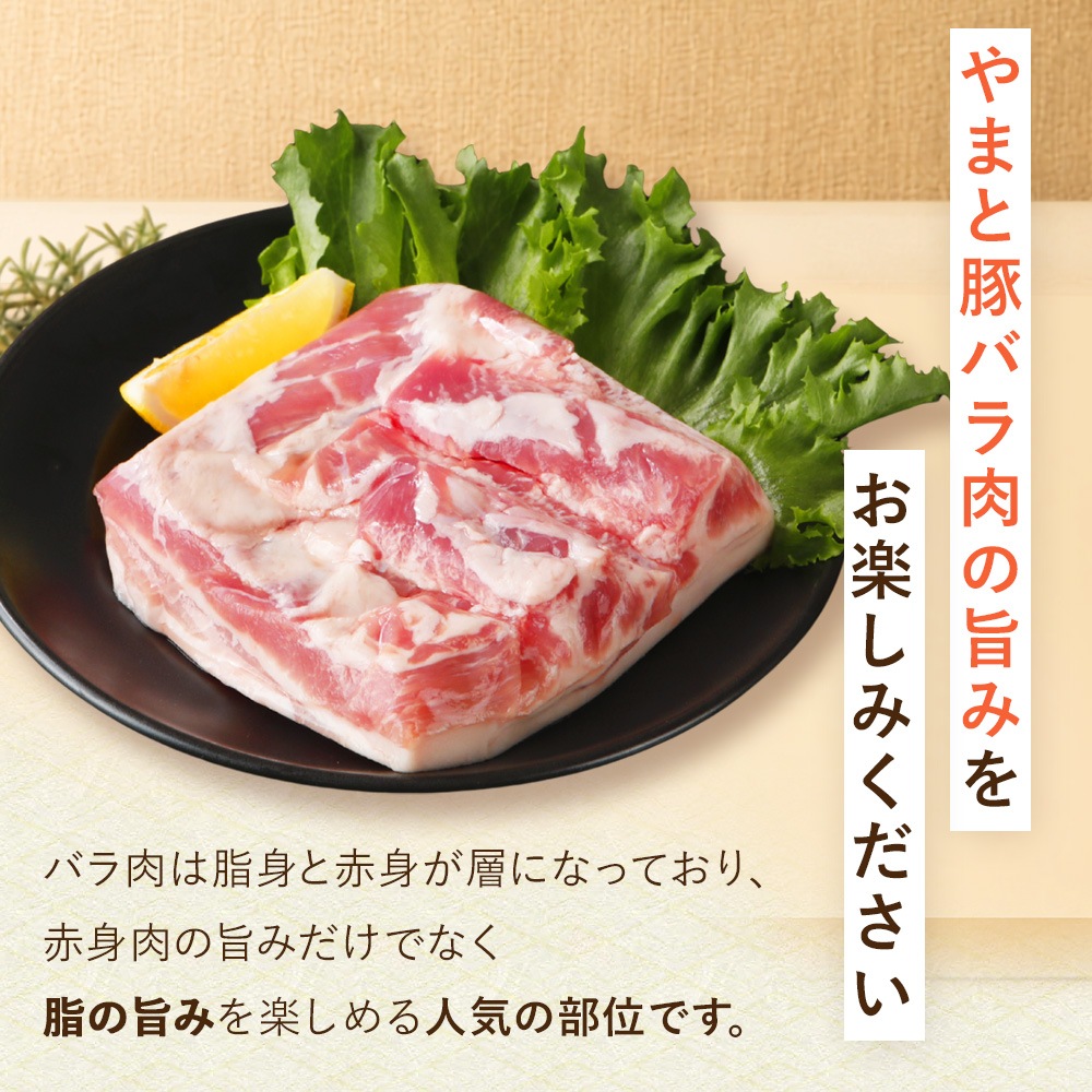 ��40%OFF�۹� ��ޤ��� �Х��� ����֤������ 1.5kg NS-BU | [����] ����̵�� ���渵 ���渵 �ƥ��ե� �Ľ븫�� ���渫�� �����ȥ�å� ������ �߸˽�ʬ �ա��ɥ��� ���ʥ��� ���� �辰����