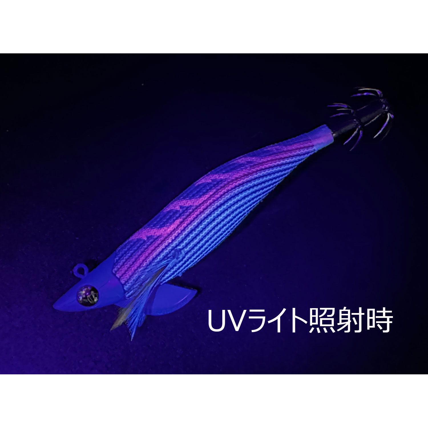 スクイッドマニア（SquidMania）ワイルドチェイスB-TR 3.5号/30g