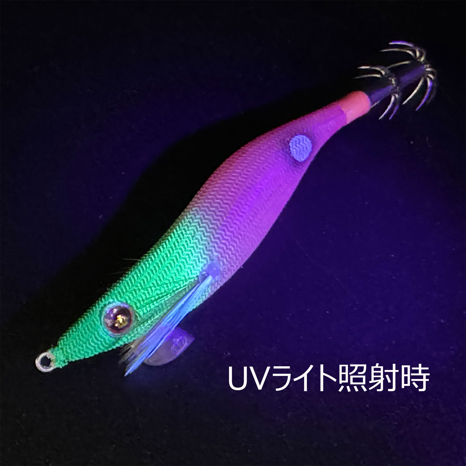 スクイッドマニア（SquidMania）ワイルドチェイス 2.5号 #50.RG