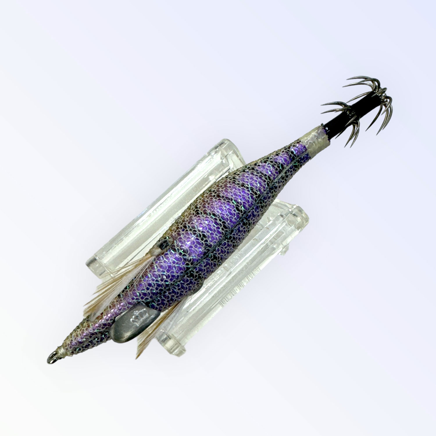 スクイッドマニア（SquidMania）ワイルドチェイス 2.5号