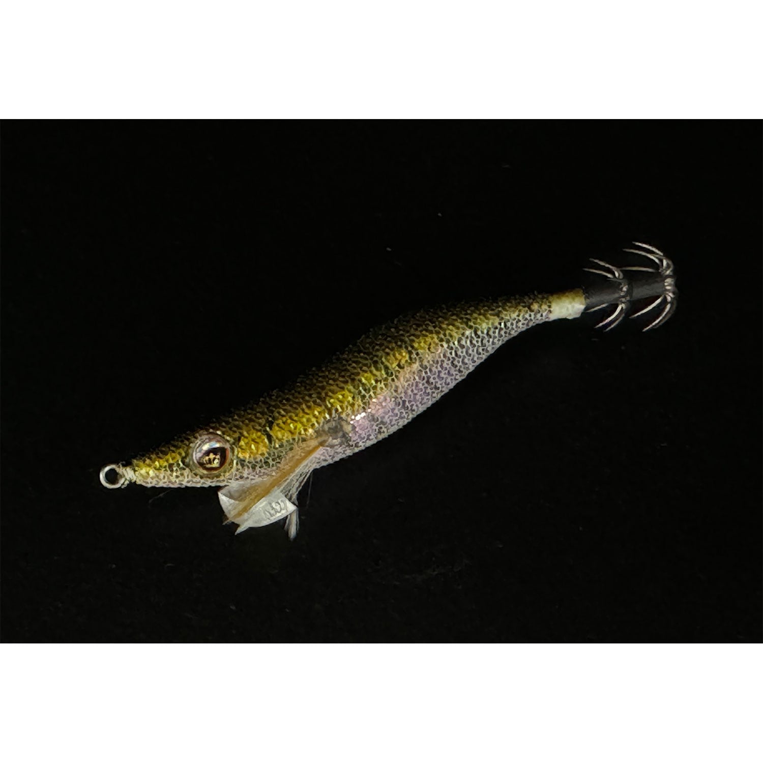 スクイッドマニア（SquidMania）ワイルドチェイス 2.5号 【ドラゴンズ