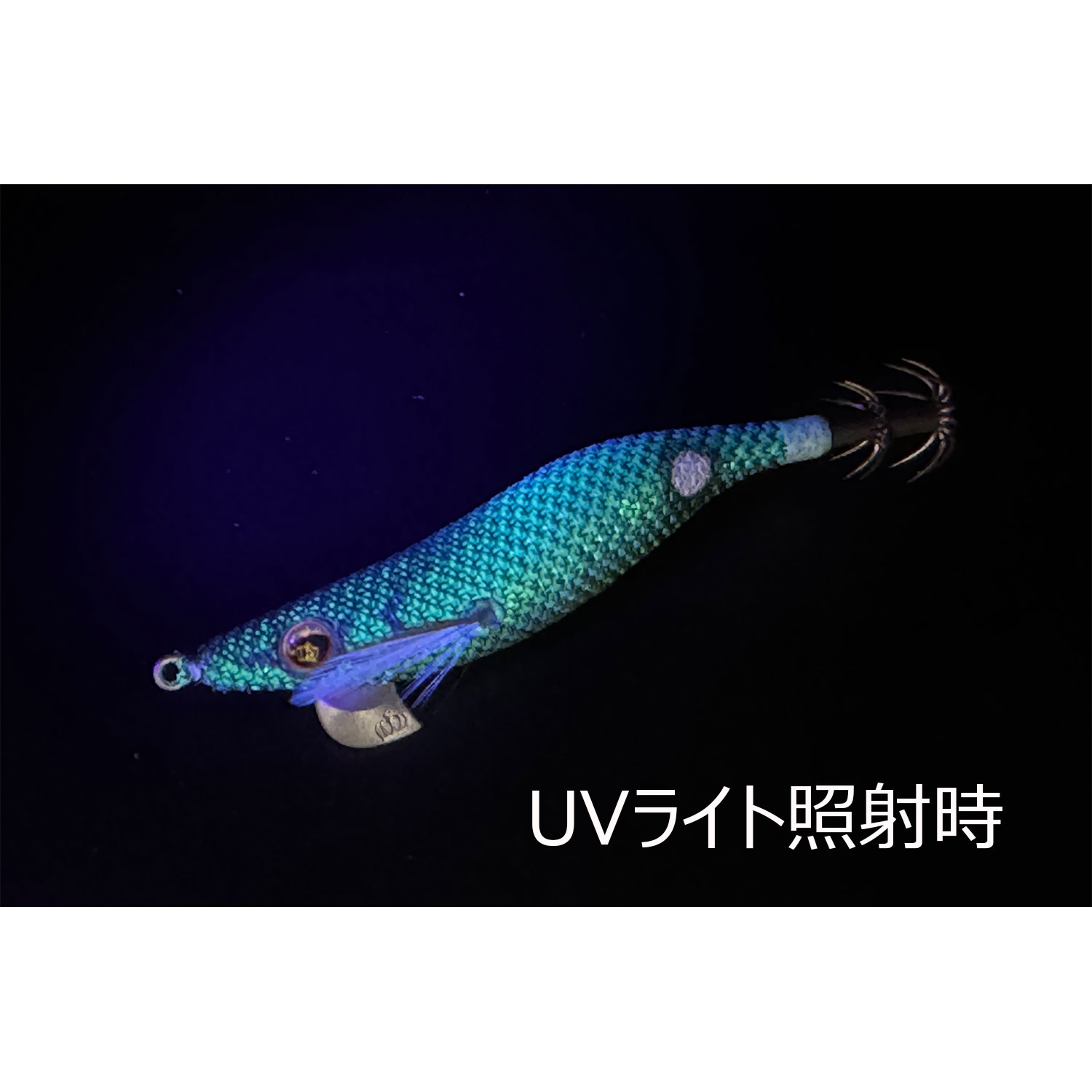 スクイッドマニア（SquidMania）ワイルドチェイス 2.5号 【ドラゴンズ