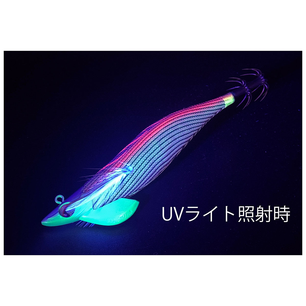 スクイッドマニア（SquidMania）ワイルドチェイスB-TR 3.5号/30g