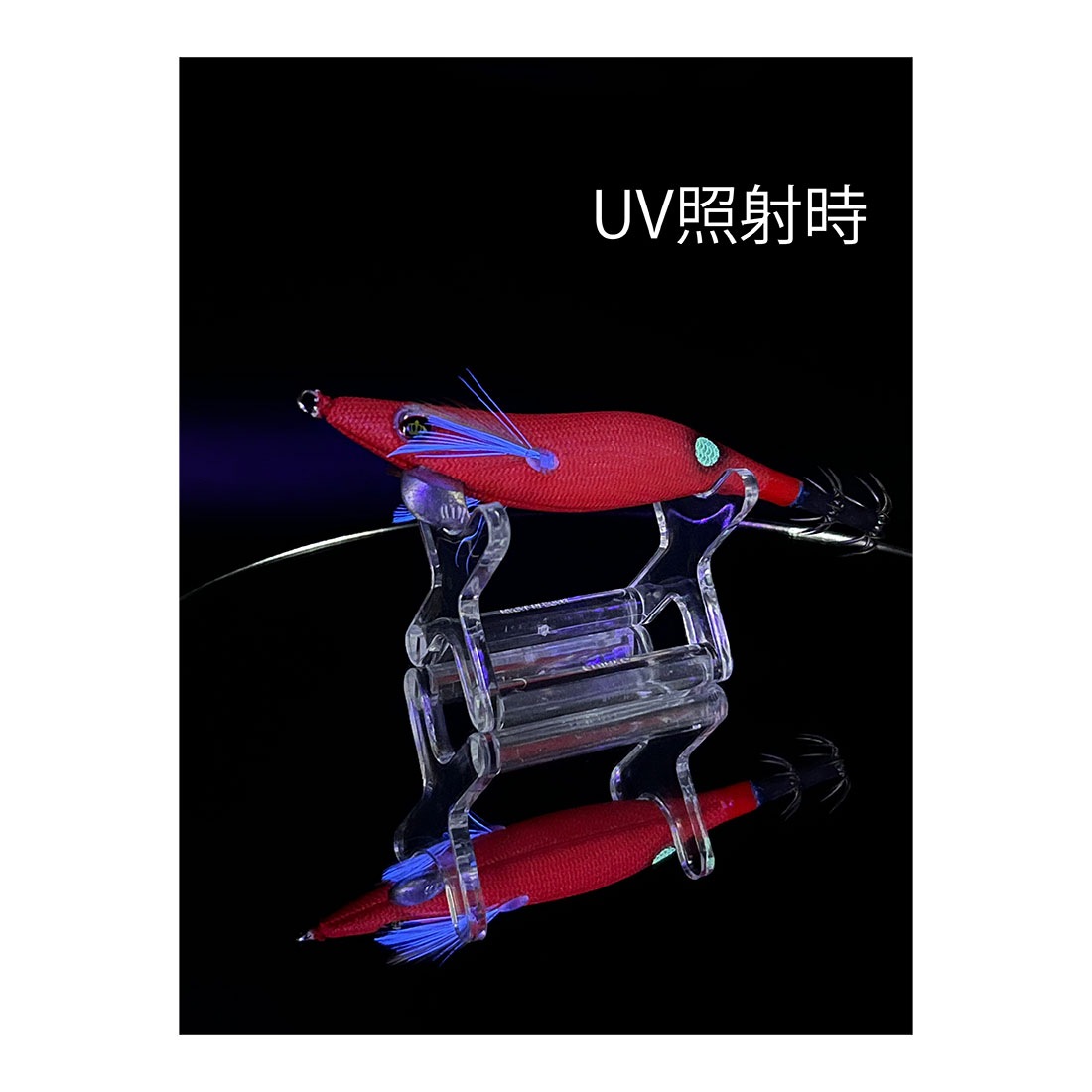 スクイッドマニア（SquidMania）ワイルドチェイス 2.5号 【ドラゴンズ